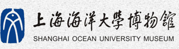bv1946伟德博物馆